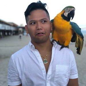 Meet your Posher, Phong